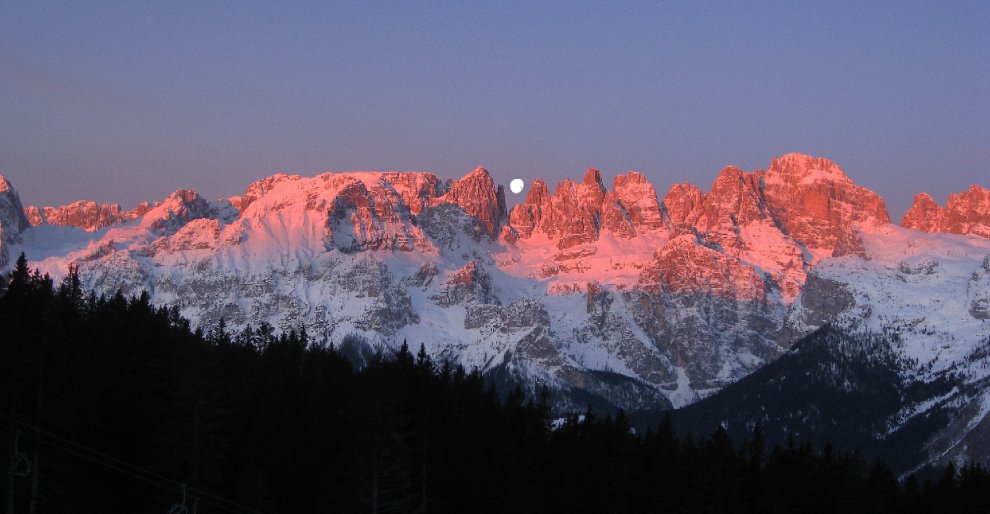 Vita da orso sulle montagne del Trentino