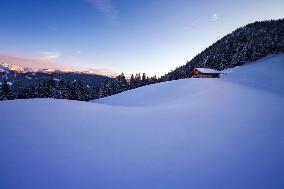 Vita da orso sulle montagne del Trentino
