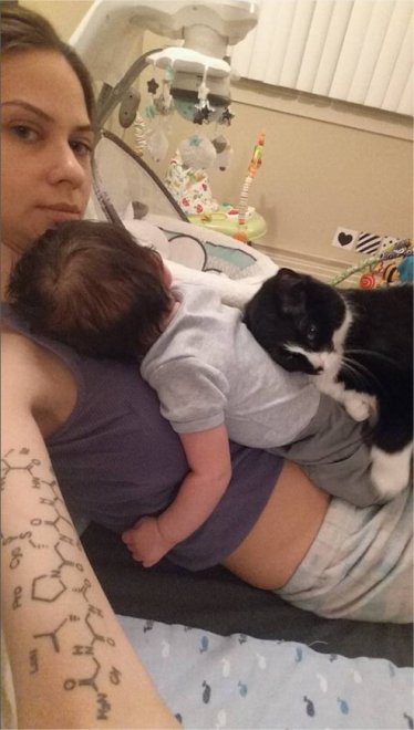 Nove mesi sul pancione di mamma: ora è il gatto la miglior "tata" di Sean 