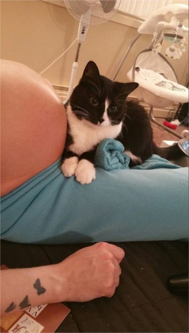 Nove mesi sul pancione di mamma: ora è il gatto la miglior "tata" di Sean 