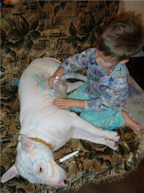 Quando la casa è un disastro: baby vandali in azione 