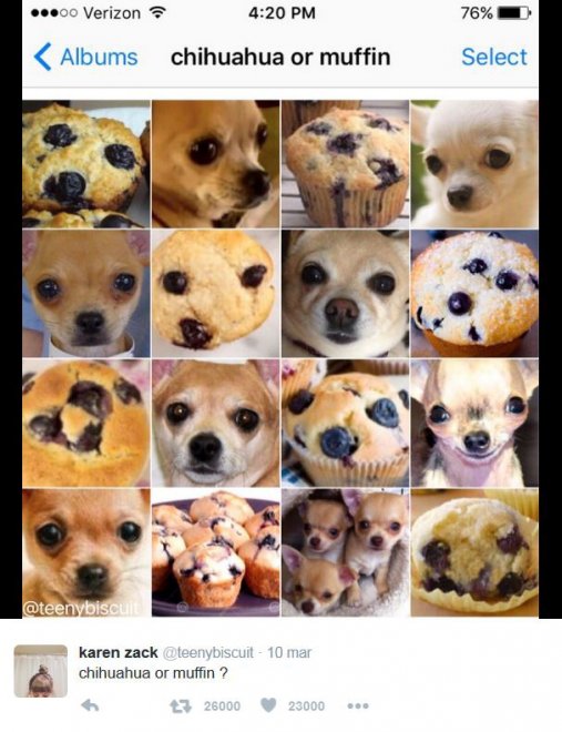 È un muffin o un chihuahua? Le incredibili somiglianze tra animali e cibo