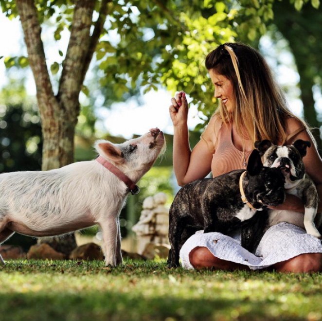 Olive, la maialina che si crede un cane