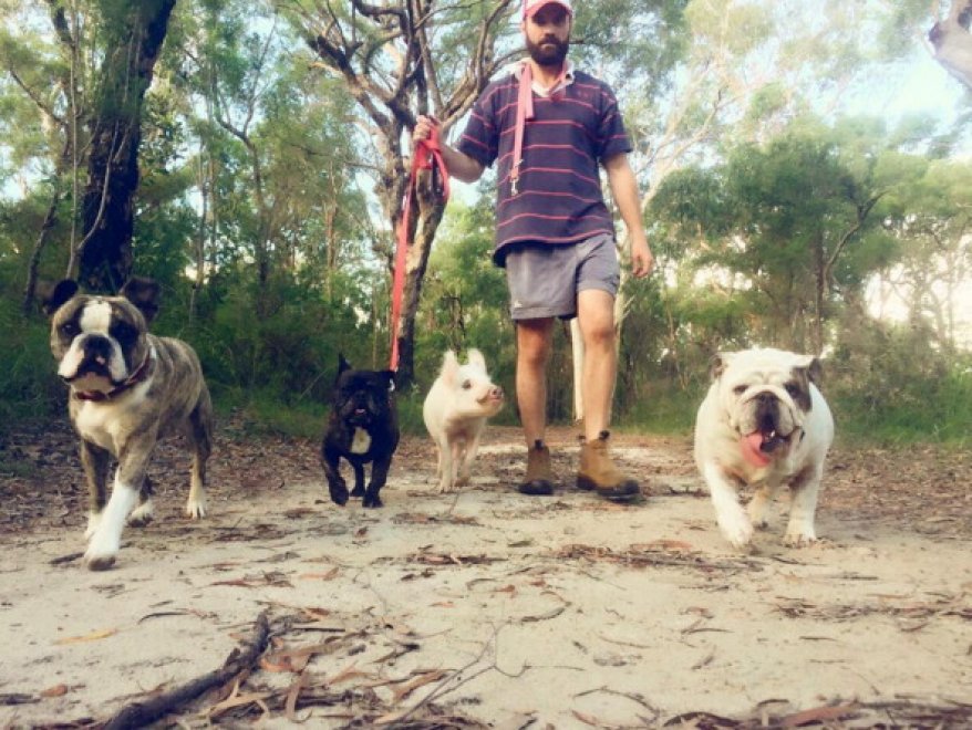 Olive, la maialina che si crede un cane