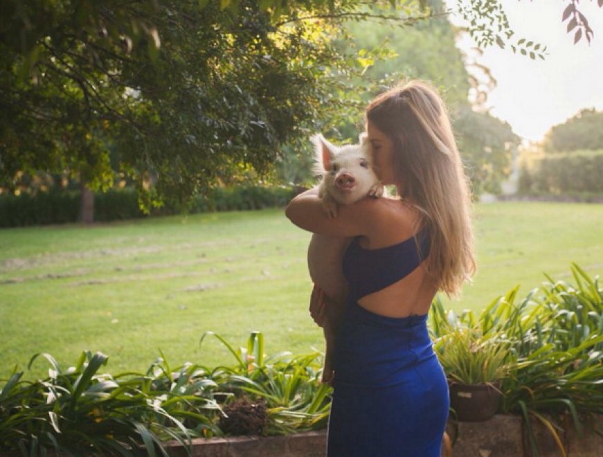 Olive, la maialina che si crede un cane