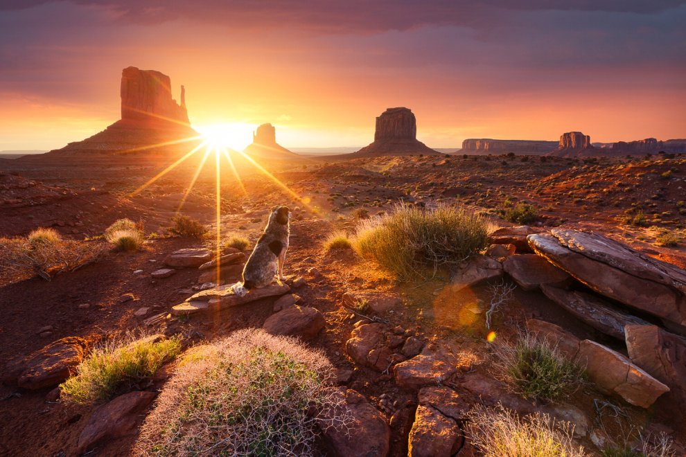 Catturando il Sole in giro per il mondo: obbiettivo su albe e tramonti