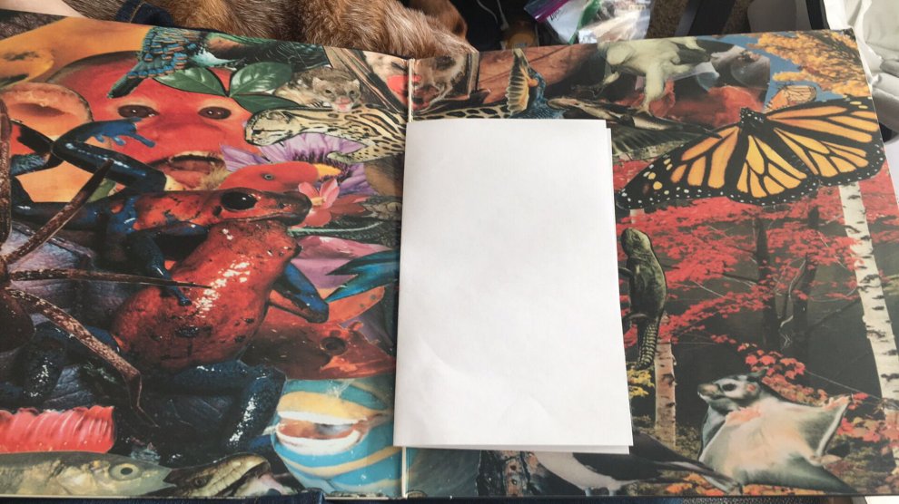 In un LP usato la lettera di una madre: "Ascoltala, è un regalo di Mark" 