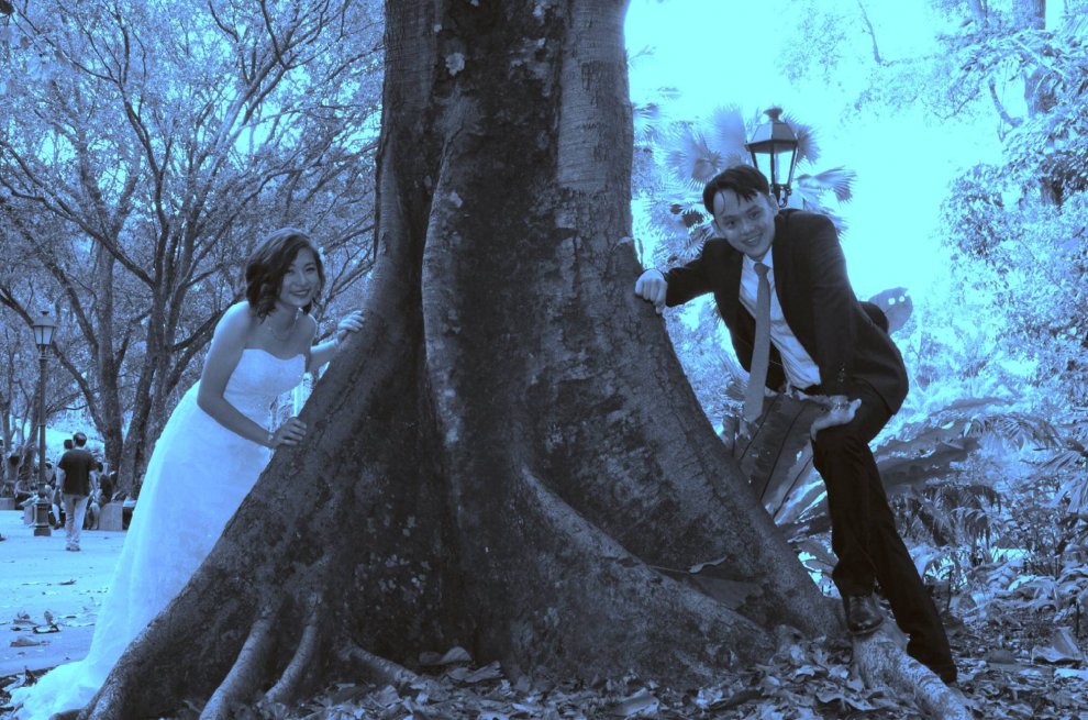 Singapore: scatti sono orrendi, fotografo si scusa. E il matrimonio diventa virale