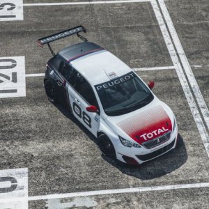 308 Racing Cup, oltre 300 Cv, che show