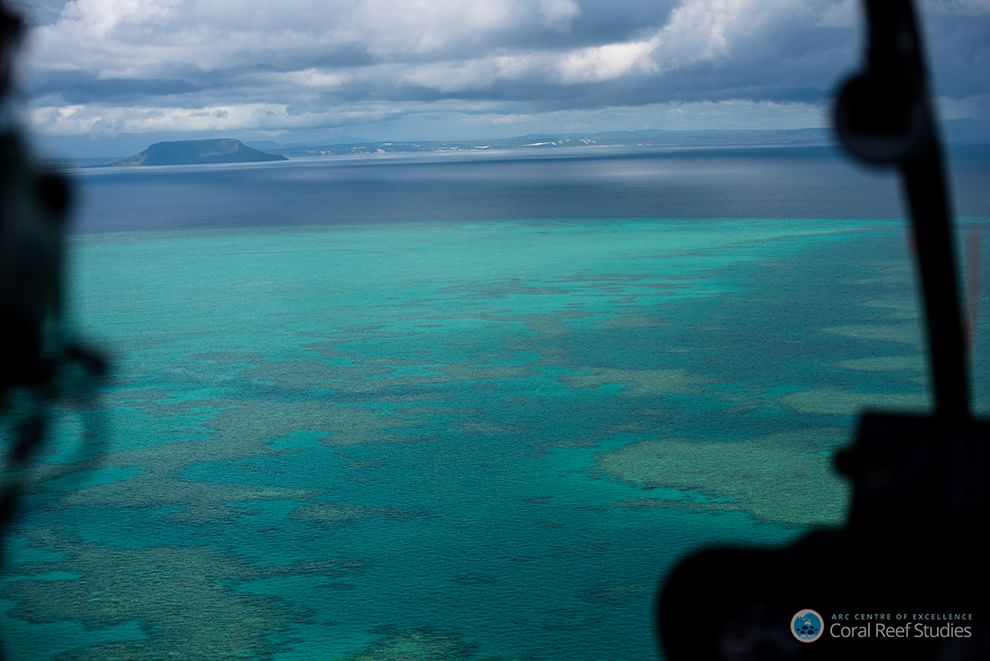 Australia, i colori della Grande barriera si spengono: è grave il pericolo sbiancamento