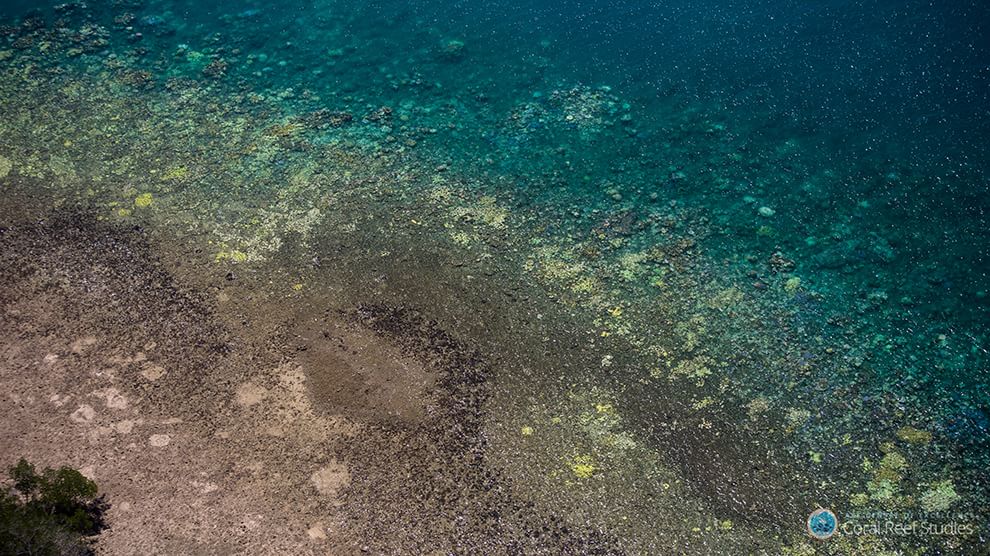Australia, i colori della Grande barriera si spengono: è grave il pericolo sbiancamento