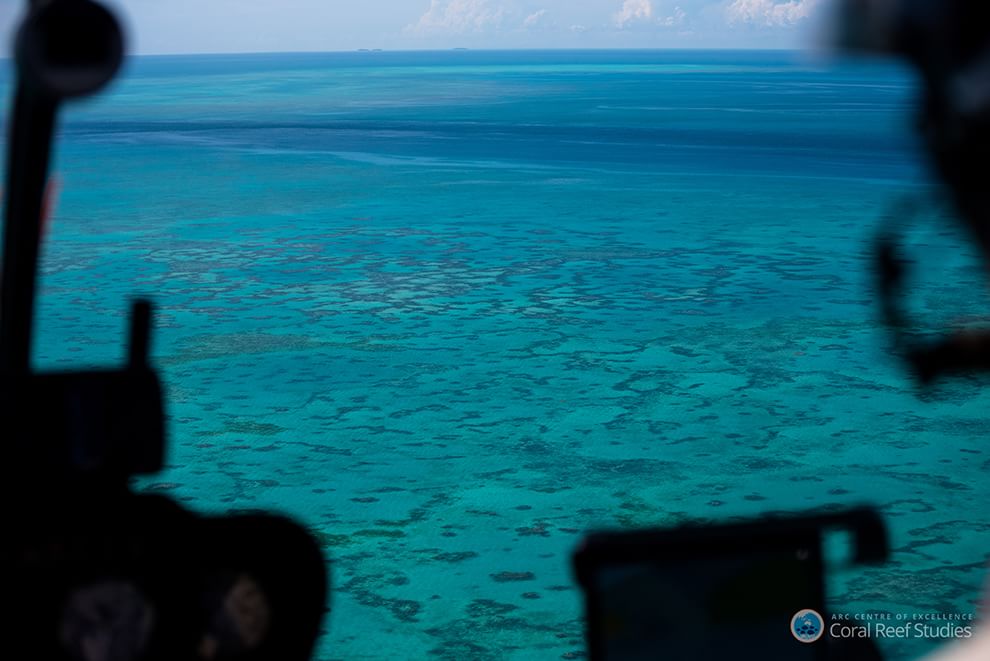 Australia, i colori della Grande barriera si spengono: è grave il pericolo sbiancamento