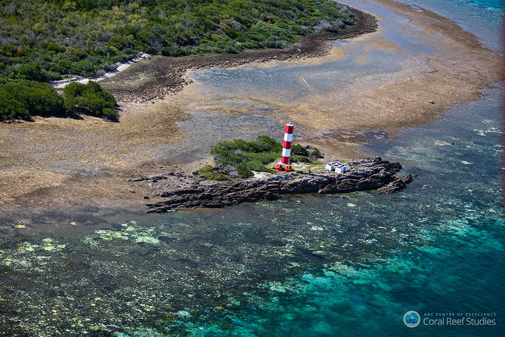 Australia, i colori della Grande barriera si spengono: è grave il pericolo sbiancamento