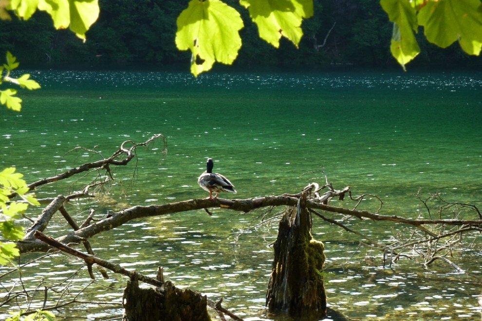 Earth Day 2016, le foto dei lettori
