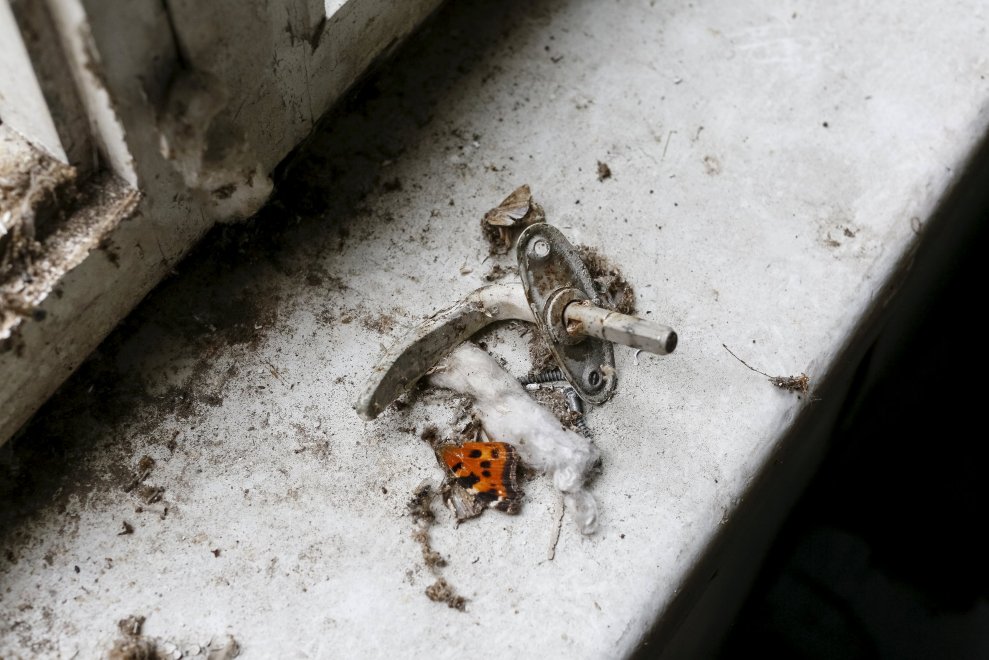 Chernobyl, 30 anni dopo: ritorno nei luoghi del disastro