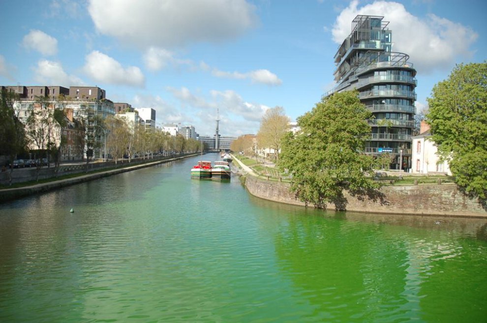 Francia, il fiume diventa verde fluorescente: la provocazione degli ambientalisti