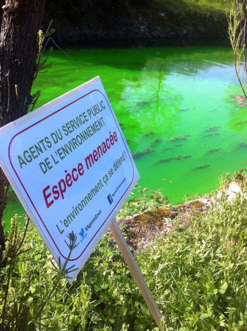 Francia, il fiume diventa verde fluorescente: la provocazione degli ambientalisti