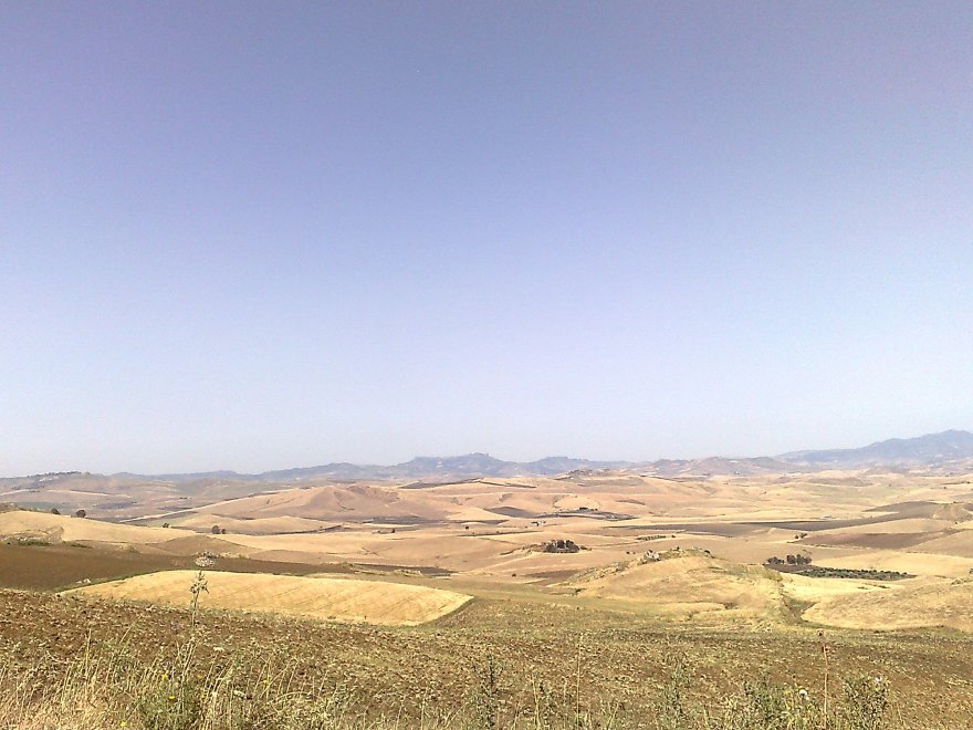 Il fascino dei campi di grano antico nei paesaggi di Sicilia