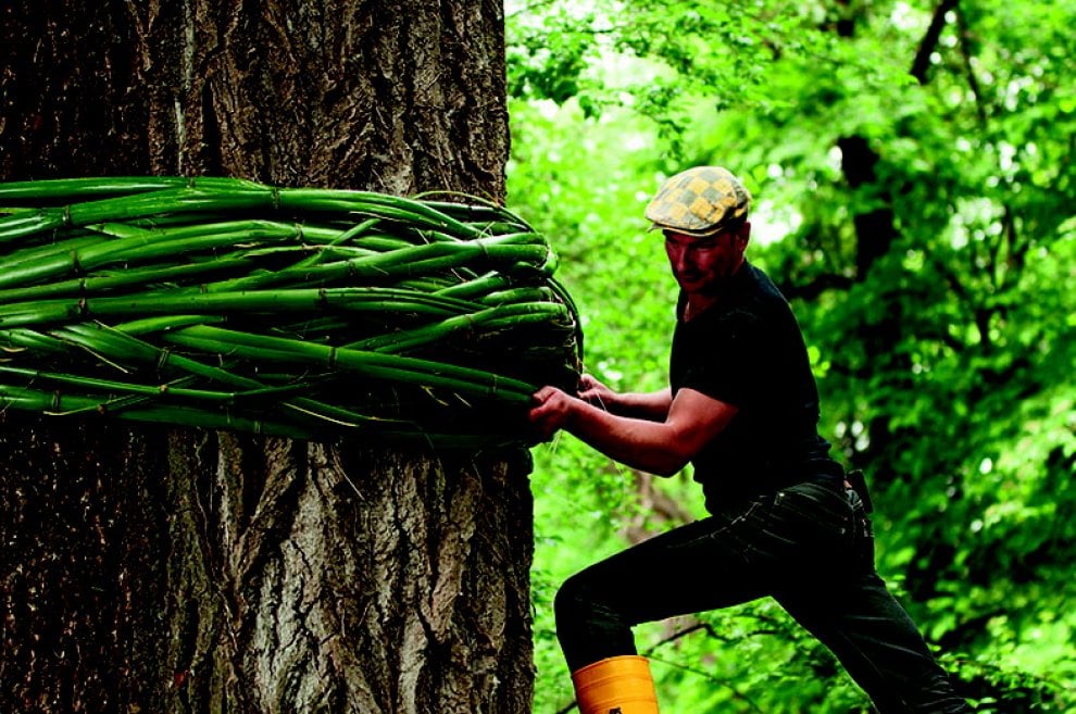 Land art, i capolavori nella natura