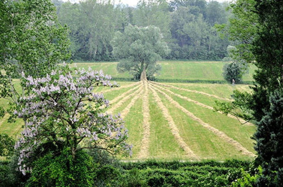 Land art, i capolavori nella natura