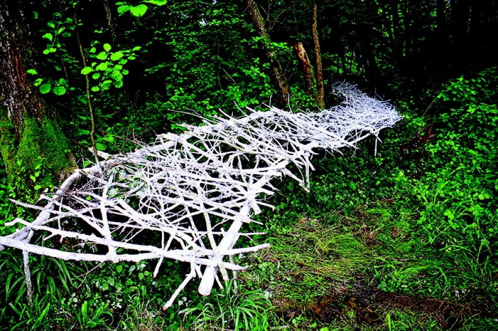 Land art, i capolavori nella natura