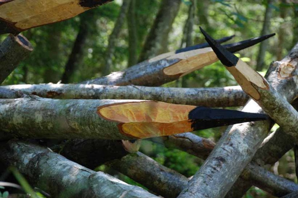 Land art, i capolavori nella natura