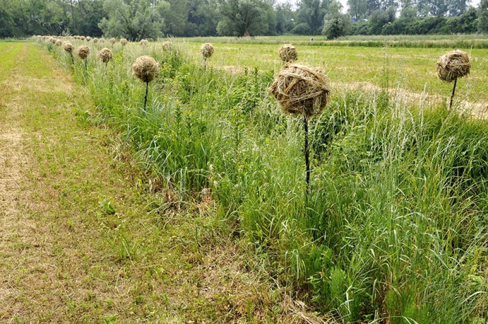 Land art, i capolavori nella natura