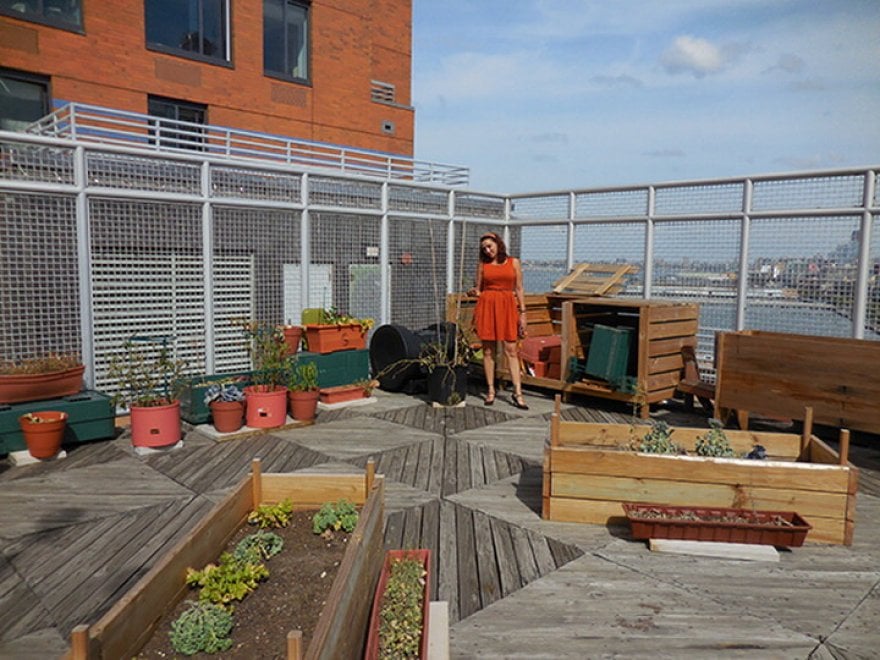 Swale, un'isola verde a NY grazie al crowdfunding