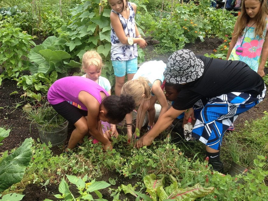 Swale, un'isola verde a NY grazie al crowdfunding