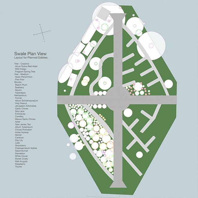 Swale, un'isola verde a NY grazie al crowdfunding