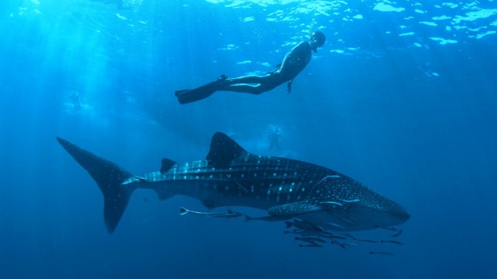 Thailandia, il paradiso perduto di Koh Tachai