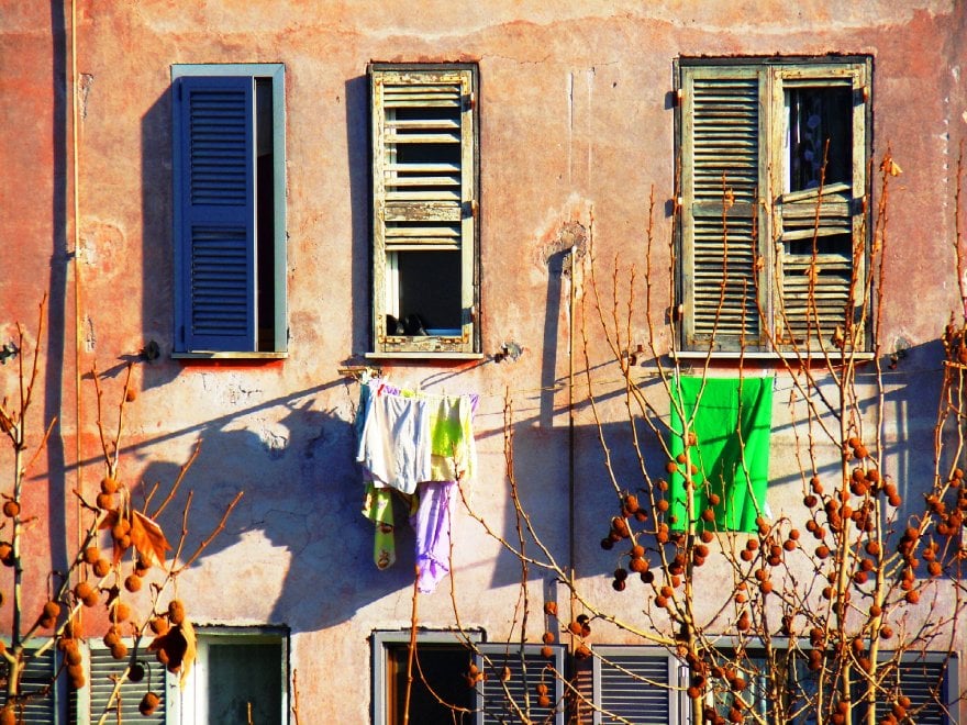 Giornata mondiale dell'ambiente, le vostre foto / 1