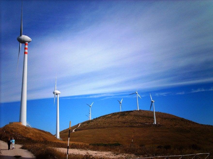 Giornata mondiale dell'ambiente, le vostre foto / 1