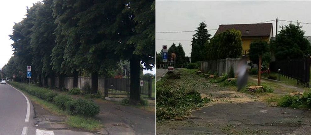 Giornata mondiale dell'ambiente, le vostre foto / 1