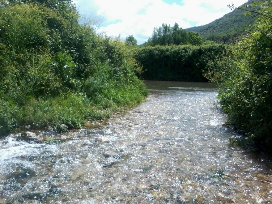Giornata mondiale dell'ambiente, le vostre foto / 1