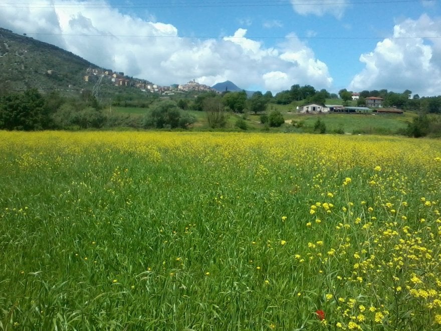 Giornata mondiale dell'ambiente, le vostre foto / 1