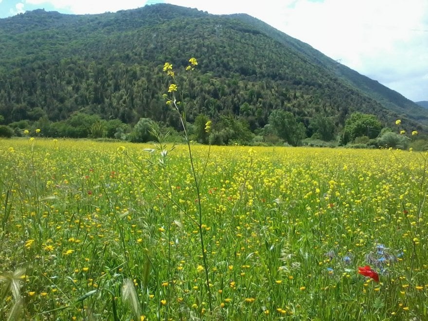 Giornata mondiale dell'ambiente, le vostre foto / 1