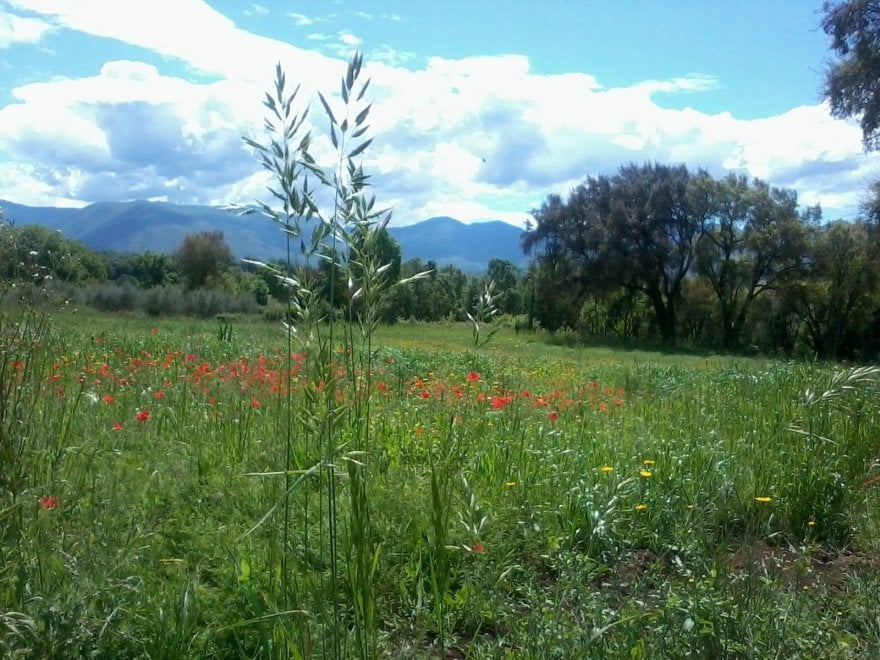 Giornata mondiale dell'ambiente, le vostre foto / 1