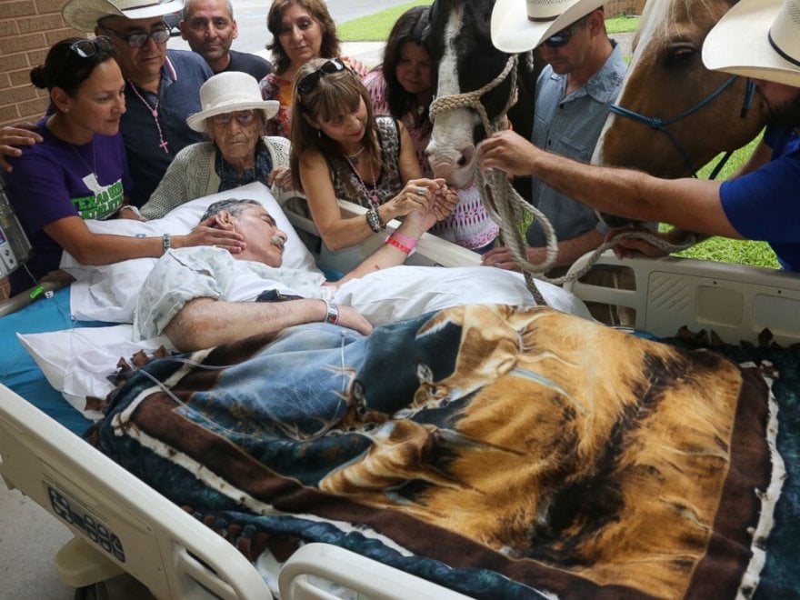 Stati Uniti, l'ultimo desiderio del veterano: abbracciare i suoi cavalli