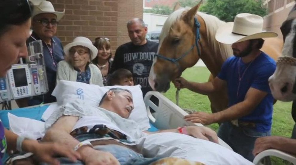 Stati Uniti, l'ultimo desiderio del veterano: abbracciare i suoi cavalli