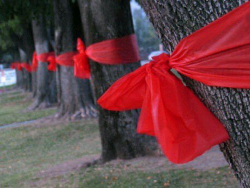 Come Si Chiama Il Drappo Rosso Del Torero