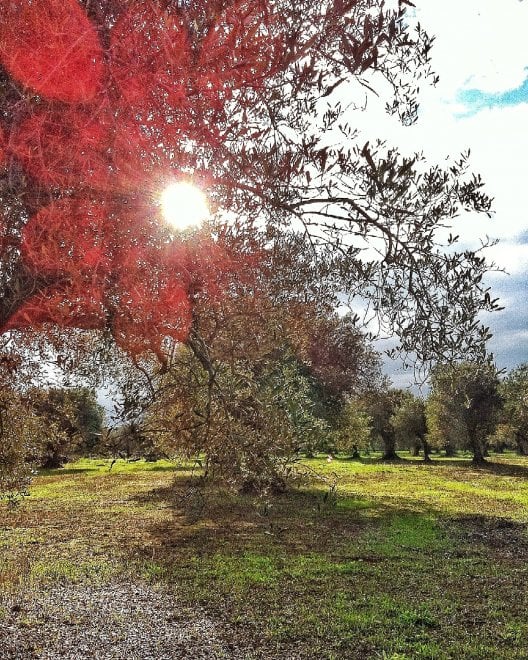 Giornata mondiale dell'ambiente, le vostre foto / 1