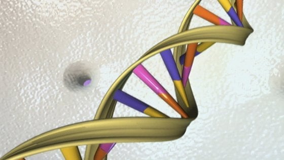 L'appello degli scienziati "Fateci riscrivere il Dna"