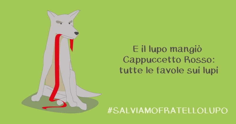 Lupi in Vaticano: è la campagna #salviamofratellolupo