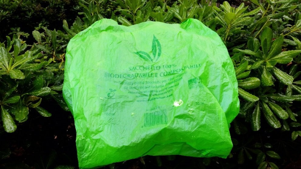 Da dove arriva la microplastica?