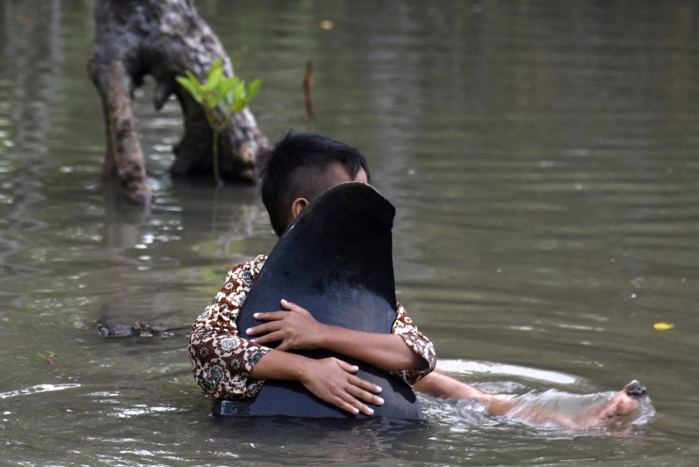 Indonesia, balene arenate nella palude: la comunità tenta il salvataggio