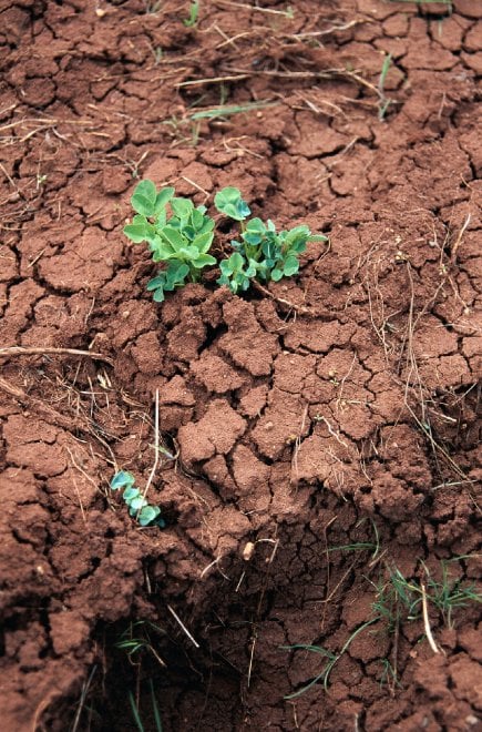 Siccità e desertificazione, dove soffre il Pianeta