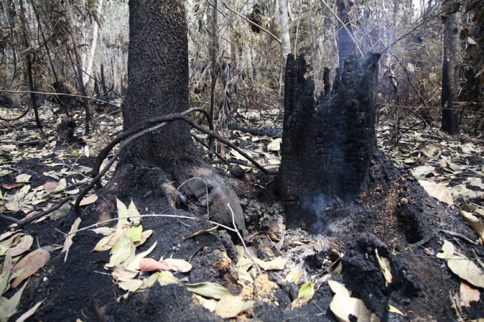 Siccità e desertificazione, dove soffre il Pianeta
