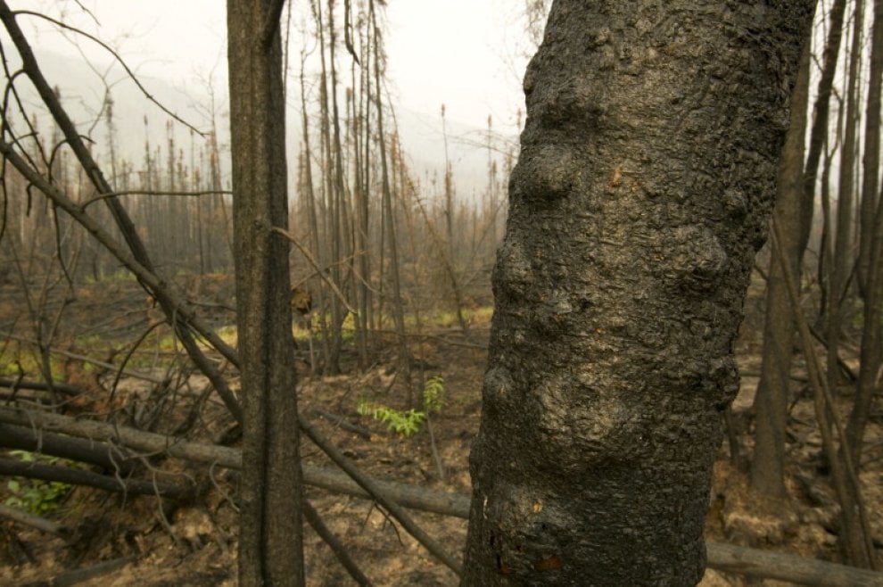 Siccità e desertificazione, dove soffre il Pianeta