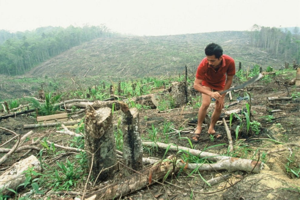 Siccità e desertificazione, dove soffre il Pianeta